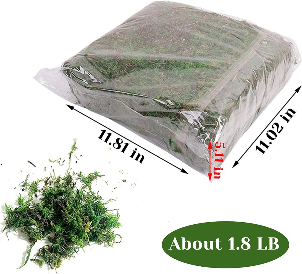 Sphagnum Moss For Reptiles Peat Moss Substrate Natural Green Tortoise