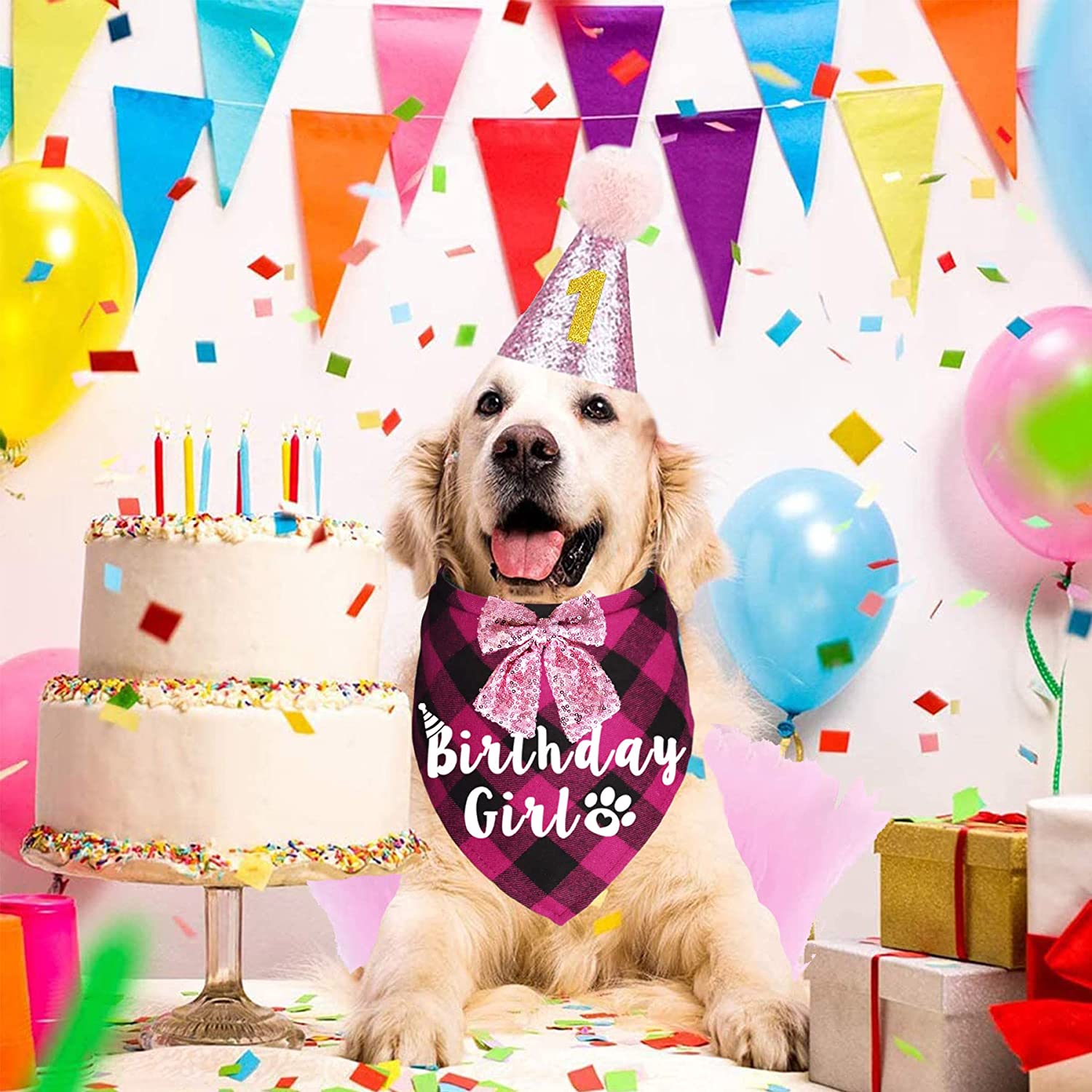 Dog Birthday Party Supplies, Dog Birthday Outfit, Plaid Dog Birthday ...